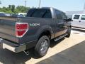 2013 F150 XLT SuperCrew 4x4 #5 2013 F150 XLT SuperCrew 4x4 #5