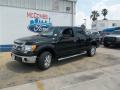 2013 F150 XLT SuperCrew #2