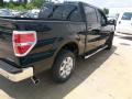 2013 F150 XLT SuperCrew #7