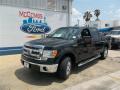 2013 Ford F150 XLT SuperCrew Tuxedo Black Metallic 2013 Ford F150 XLT SuperCrew Tuxedo Black Metallic