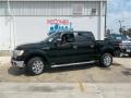 2013 F150 XLT SuperCrew #3 2013 F150 XLT SuperCrew #3