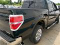2013 F150 XLT SuperCrew #7 2013 F150 XLT SuperCrew #7