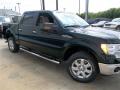 2013 F150 XLT SuperCrew #8 2013 F150 XLT SuperCrew #8