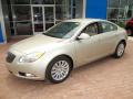 2013 Regal Turbo #10 2013 Regal Turbo #10
