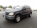 1999 Mercedes-Benz ML 320 4Matic Azure Blue Metallic 1999 Mercedes-Benz ML 320 4Matic Azure Blue Metallic