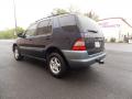 1999 ML 320 4Matic #4