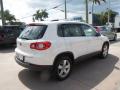 2010 Tiguan Wolfsburg Edition #5
