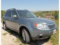 2010 Forester 2.5 X Premium #2