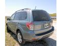 2010 Forester 2.5 X Premium #8