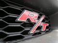 2013 Charger R/T Daytona #6