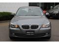 2010 5 Series 528i xDrive Sedan #2
