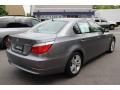 2010 5 Series 528i xDrive Sedan #5