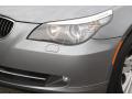 2010 5 Series 528i xDrive Sedan #30