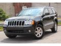 Front 3/4 View of 2010 Jeep Grand Cherokee Laredo 4x4 #3