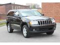 Front 3/4 View of 2010 Jeep Grand Cherokee Laredo 4x4 #9