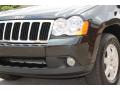 2010 Grand Cherokee Laredo 4x4 #24
