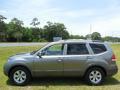 2009 Borrego LX V6 #2