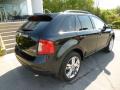 2013 Edge Limited AWD #7