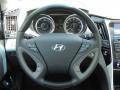 2011 Hyundai Sonata Limited Steering Wheel #13