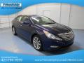 2011 Sonata SE #4 2011 Sonata SE #4