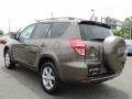 2010 RAV4 Limited V6 4WD #4