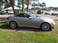  2007 Mercedes-Benz SLK designo Graphite Metallic #13