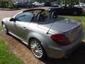  2007 Mercedes-Benz SLK designo Graphite Metallic #25