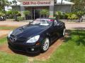 2009 Mercedes-Benz SLK 300 Roadster