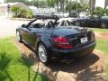 2009 SLK 300 Roadster #3