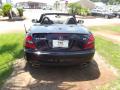 2009 SLK 300 Roadster #11
