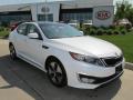 2013 Optima Hybrid EX #1