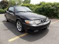 Front 3/4 View of 2002 Saab 9-3 Viggen Convertible #7 Front 3/4 View of 2002 Saab 9-3 Viggen Convertible #7