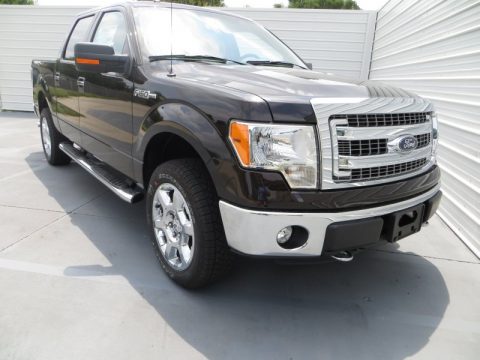 Ford F150 XLT SuperCrew 4x4 Ford F150 XLT SuperCrew 4x4