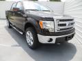 2013 F150 XLT SuperCrew 4x4 #1