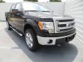 2013 F150 XLT SuperCrew 4x4 #2
