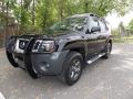 2010 Xterra S 4x4 #1
