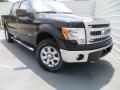 2013 F150 XLT SuperCrew 4x4 #2