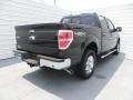 2013 F150 XLT SuperCrew 4x4 #4