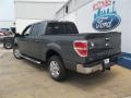 2013 F150 XLT SuperCrew #4