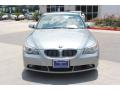 2007 5 Series 525i Sedan #3