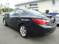 2011 Sonata Limited #6