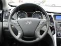 2011 Sonata Limited #13