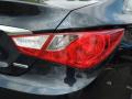 2011 Sonata Limited #22