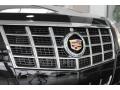  2013 Cadillac CTS Logo #10