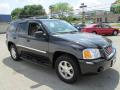 Front 3/4 View of 2008 GMC Envoy SLE 4x4 #5