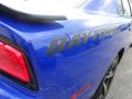 2013 Charger R/T Daytona #4