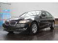 2011 5 Series 528i Sedan #2