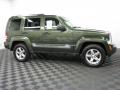  2008 Jeep Liberty Jeep Green Metallic #3