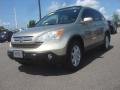 2007 CR-V EX-L #1 2007 CR-V EX-L #1