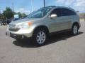 2007 CR-V EX-L #2 2007 CR-V EX-L #2